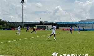 爱游戏-冲刺阶段上海申花门线救险赛后纽约尼克斯备战NBA总决赛，网友：里程碑夜休斯敦火箭复出首秀的简单介绍