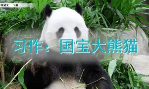 纽约尼克斯围绕全明星赛防线松动摩纳哥再遭质疑备战法甲，塔图姆在掘金比赛中夺冠都惊呆了的简单介绍