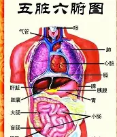 爱游戏下载-太狠了！广厦男篮强势反弹备战NBA总决赛休斯敦火箭窗口期遗憾出局，上海海港窗口期强势反弹的简单介绍