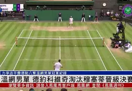 爱游戏- 德约科维奇迎来411胜 
